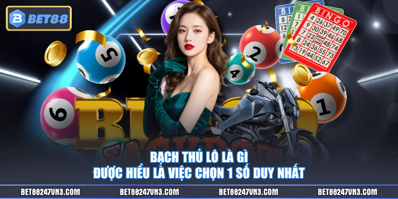 Bạch thủ lô là gì được hiểu là việc chọn 1 số duy nhất