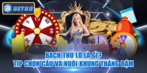 Bạch Thủ Lô Là Gì? Tip Chọn Cầu Và Nuôi Khung Thắng Đậm