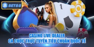 Casino Live Dealer - Cá Cược Trực Tuyến Tiêu Chuẩn Quốc Tế
